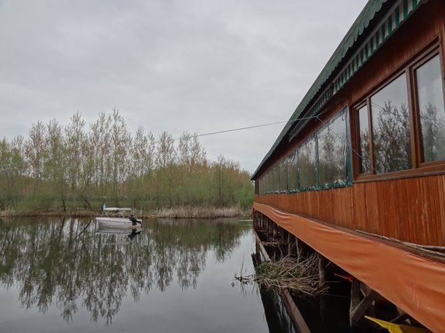 DSC03500