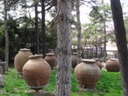 DSC03584