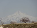 DSC03835