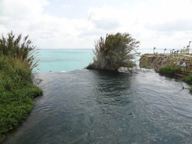 DSC03942