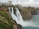 DSC03953