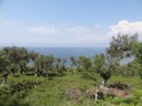 DSC04454