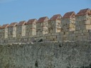 DSC04513