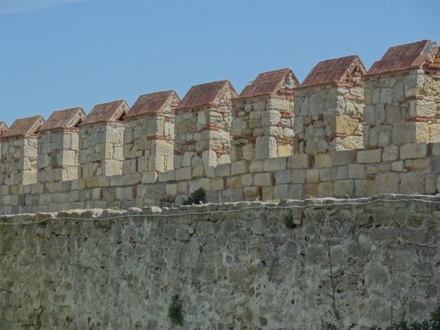 DSC04513