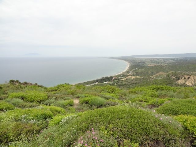 DSC04644
