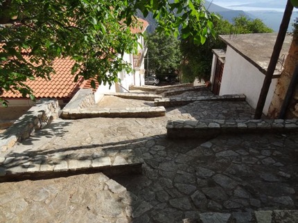 DSC05029