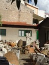 DSC05120