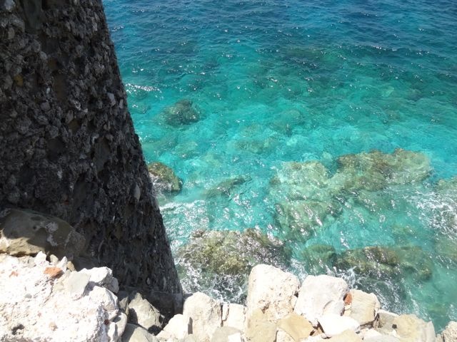 DSC05311