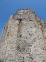 DSC05347
