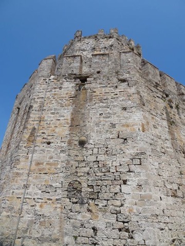 DSC05347