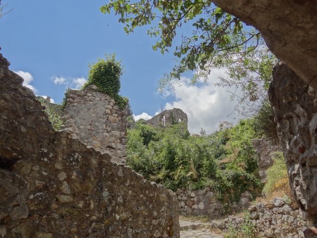 DSC05529
