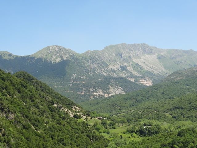 DSC06219