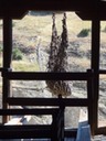 DSC06257