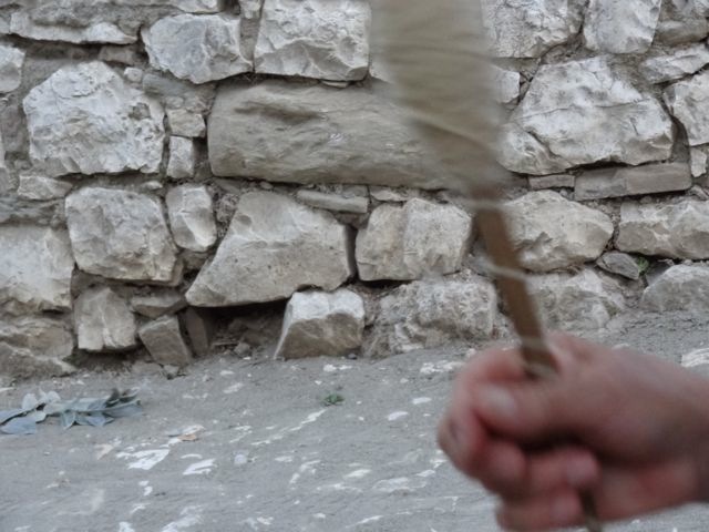 DSC06733