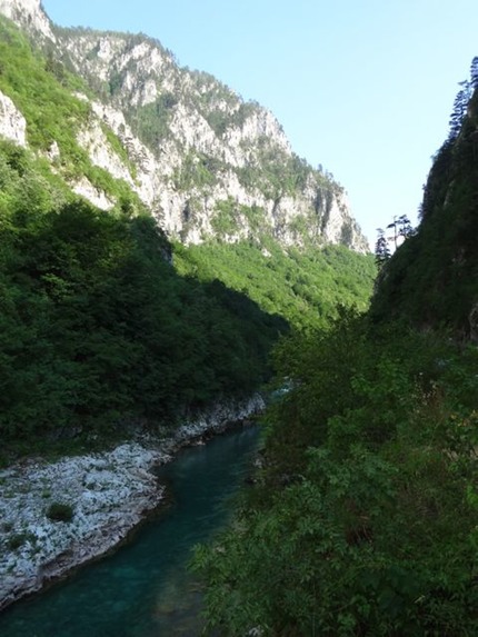 DSC07100