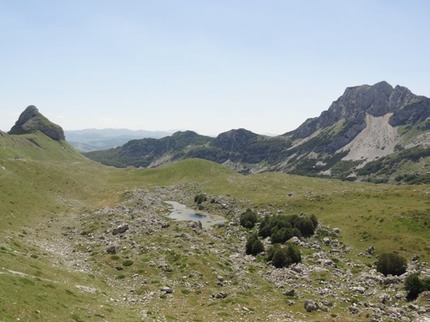 DSC07167