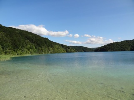 DSC07460