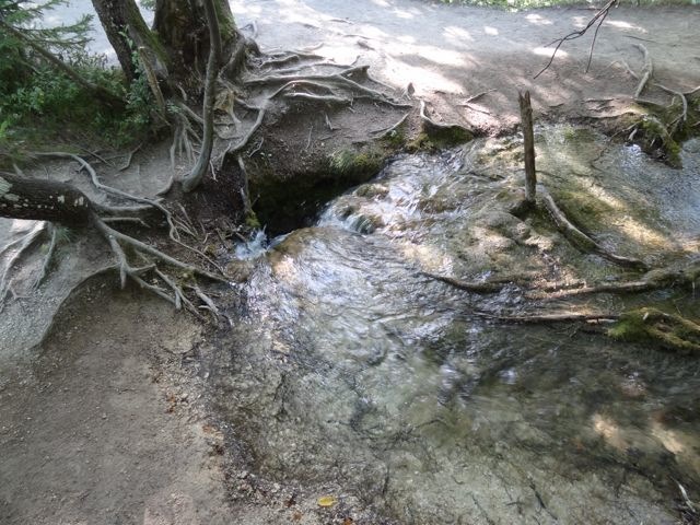 DSC07464