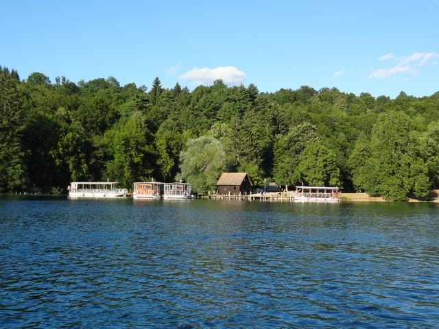 DSC07531