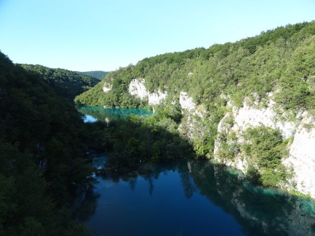 DSC07536
