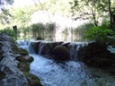 DSC07563