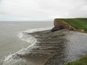 DSC08519