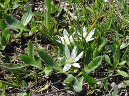 DSC03003
