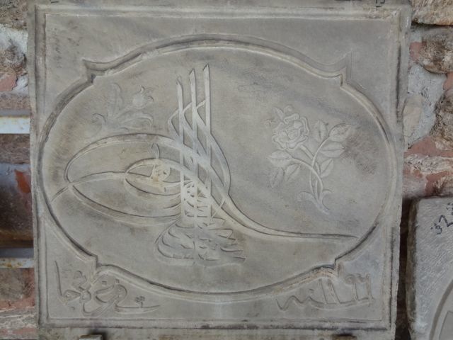 DSC03137