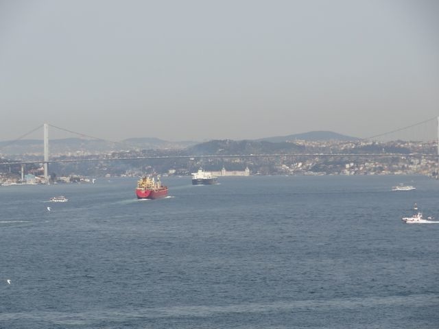 DSC03155