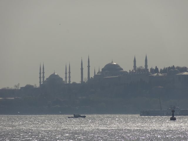 DSC03318