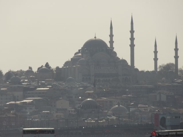 DSC03330