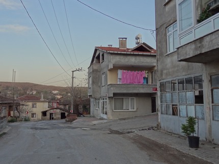 DSC03406