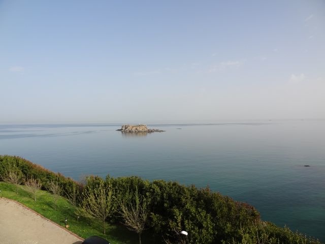 DSC03414