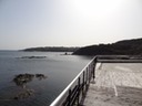 DSC03416