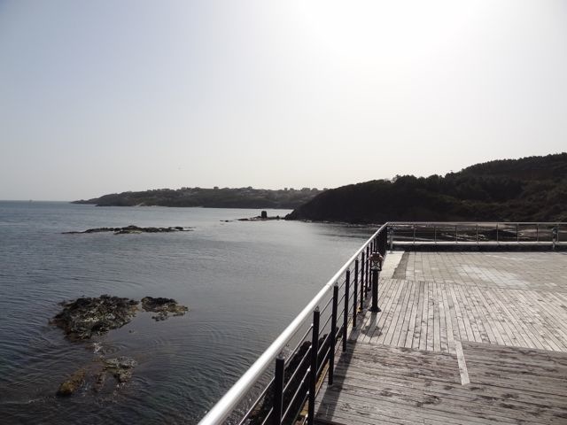 DSC03416