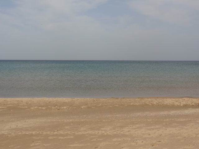 DSC03434