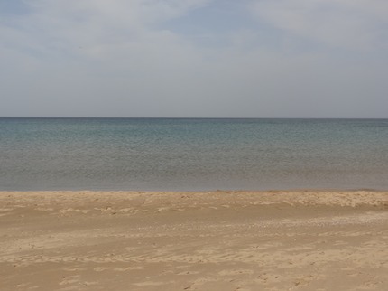 DSC03434
