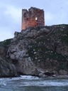 DSC03454