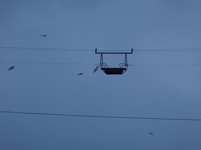 DSC03455