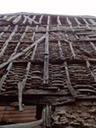 DSC03467