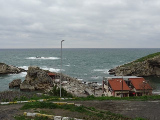 DSC03479