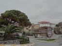 DSC03481