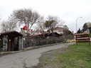 DSC03485