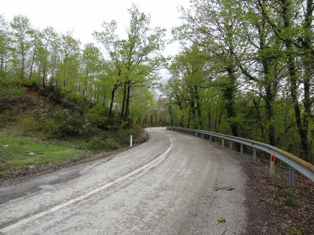 DSC03487