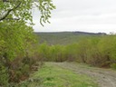 DSC03489