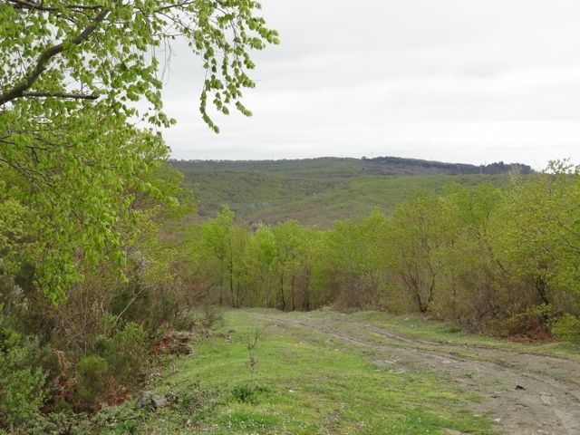 DSC03489