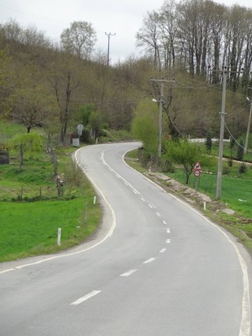 DSC03491
