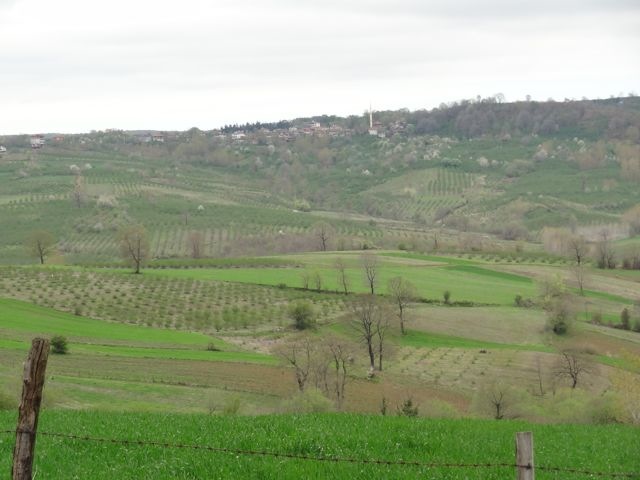 DSC03492