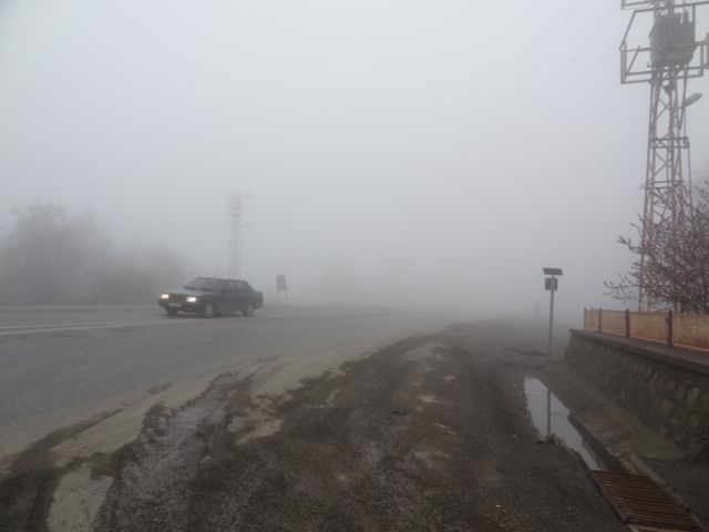DSC03501