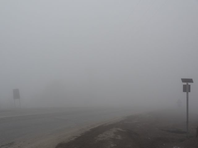 DSC03502